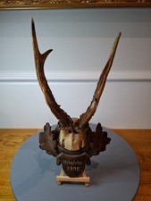 Massacre de Chevreuil 1895 XIX