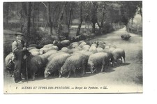 AGRUCULTURE  BERGER DES