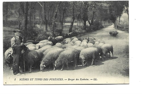 Agruculture berger des - agruculture,