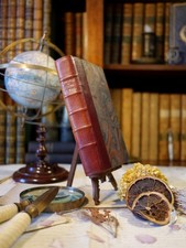 L'orme du mail, Anatole