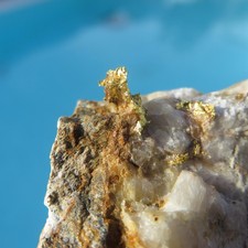 Minéraux Historien Or Nativo