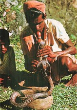 SRI LANKA WATTALA SRI LANKA