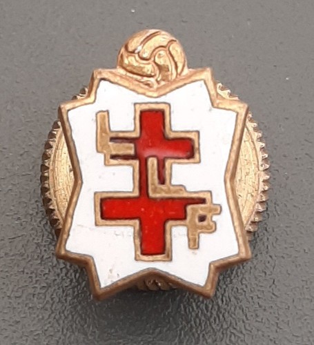 Rare insigne llf - insigne,