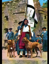 SAINT-MALO (35) CHIENNETIER avec CHIEN DOGUE à la Cité CORSAIRE