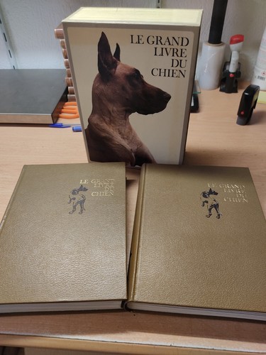 Grand livre chien - du, m