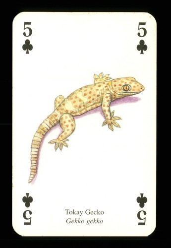 Playing card a - 1, x