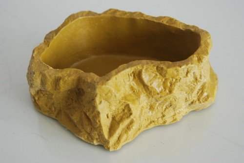 Vivarium reptile moyen - moyen, robuste