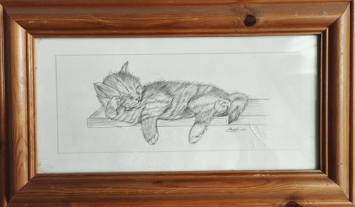 Cadre photo bois chat crayon - photo,