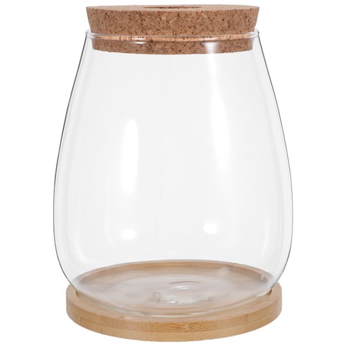 Sets vase de culture - ,