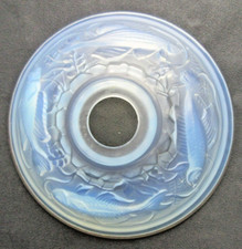 Tulipe de lampe en verre