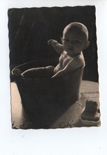 B543 Photo Originale vintage snapshot: "Bichon à 7 mois¨" signature Erbé