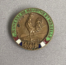 ANCIEN INSIGNE POLITIQUE? DE BOUTONNIERE JEUNESSE DE MEURTHE ET MOSELLE LABOR