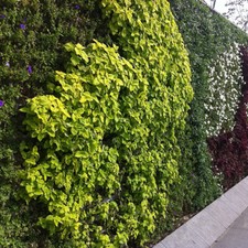 Module Dual Pot Ø8cm Blanc