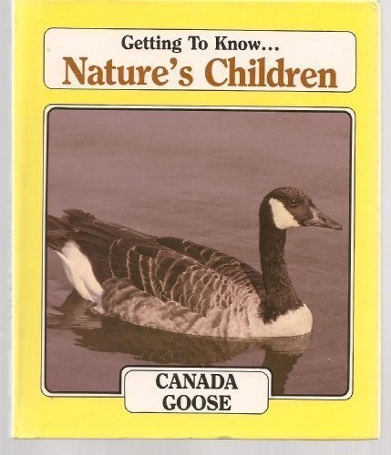Canada goose - canada,