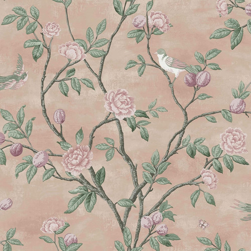 Laura ashley eglantine blush - ashley,