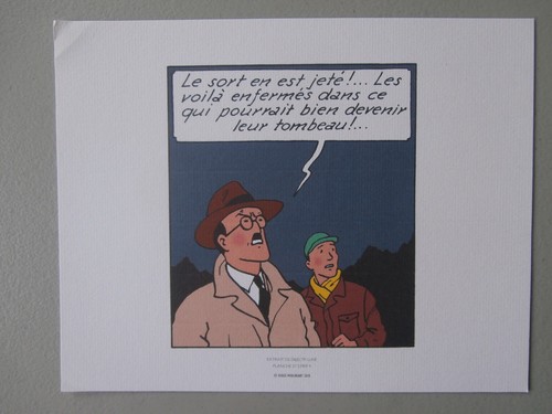 Libris tintin 2010 - ex,