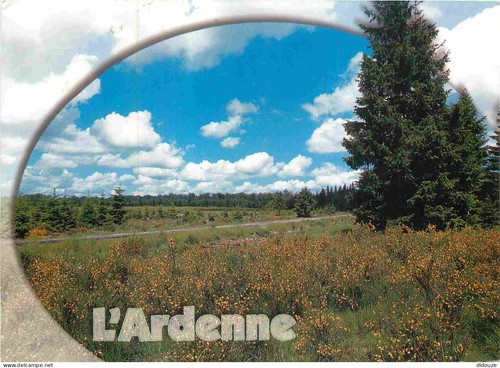 Carte postale belgique - postale,