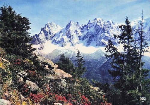 Chamonix aiguille de - chamonix,