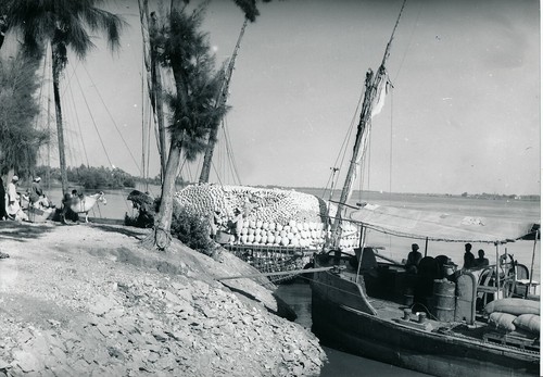 Denderah 1960 le nil - -,