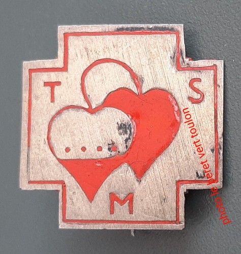 Insigne tsm indochine - tsm,