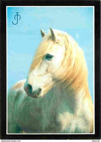 Carte postale animaux - postale,