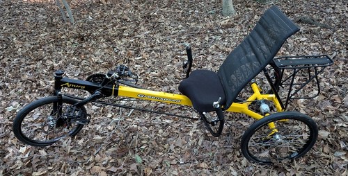 Greenspeed anura recumbent - rl,