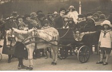 Carte Photo - PARIS - Jardin