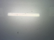 Malle/Hayon arriere CITROEN C5 2 860694