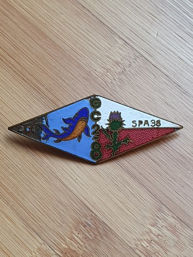 Rare aviation badge fighter - rare,