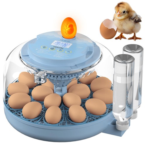 Couveuse automatique oeufs - couveuse,