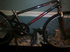 1990s Youth BMX Redline Racing