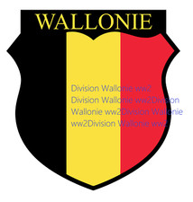 Photo Légion Wallonie Belgique Ardennes Degrelle Rexisme All Wh Heer Bruxelles