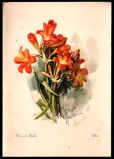 Paquebot Conte Biancamano. Déjeuner du 15 avril 1952. Aldo Raimondi