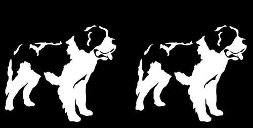 Saint bernard dog - dog, pk