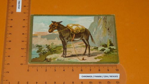 Chromo 1920 1940 - chromo, cachets