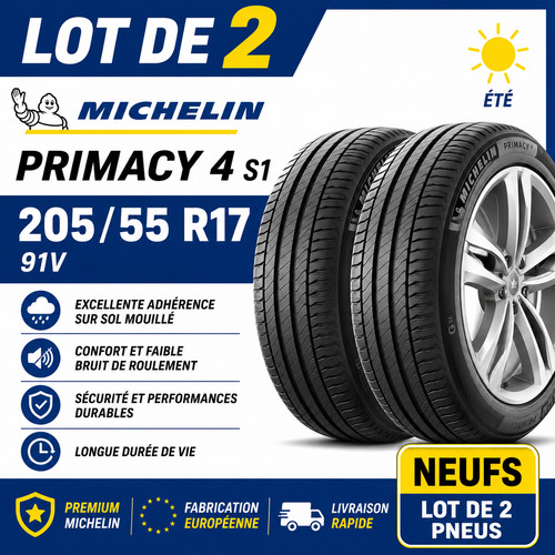 Lot pneus michelin - lot,