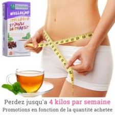 Tisane naturelle Bio Laxative Régime Damhert Thé Minceur Détoxifiant Maigrir