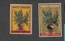  Ancienne   étiquette  allumettes   Tchecoslovaquie FF30 Plante 