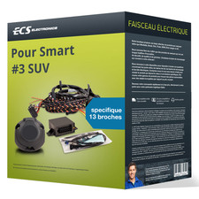 Faisceau spécifique au