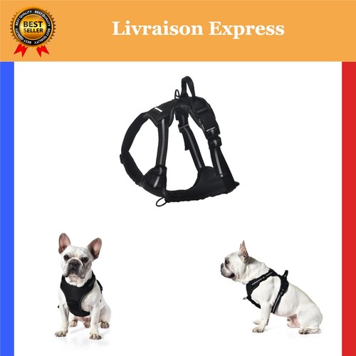 Harnais pour chien amazon - pour,