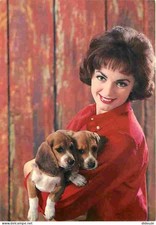 Carte Postale - Animaux -