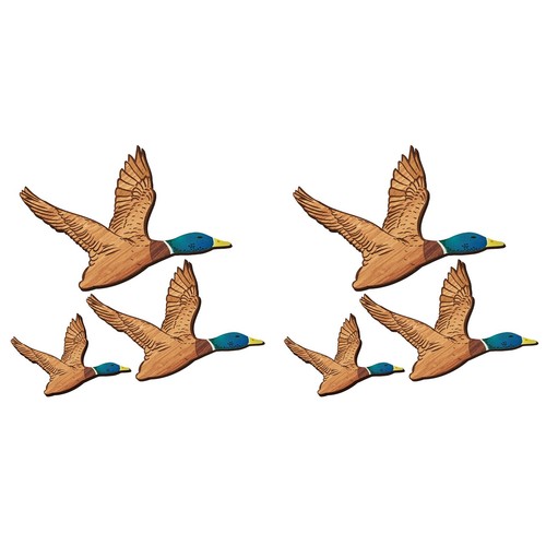 Tailles canard colvert - 6x, 3
