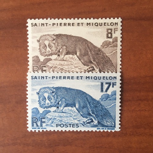 Saint pierre miquelon - pierre,