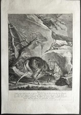Grande gravure de Johann Elias Ridinger