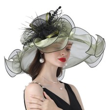 Femme Organza Chapeau Large