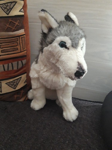 Belle peluche chien - belle,