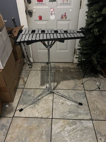 Xylophone and case - xylophone,