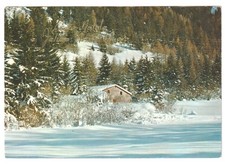 1974 Photo Carte Postale Vintage Joyeux Noël Et Année Cabane Montagne Forêt Fir