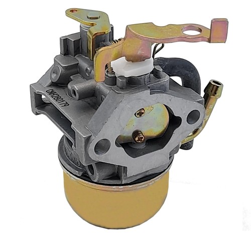 Carburateur pour moteur