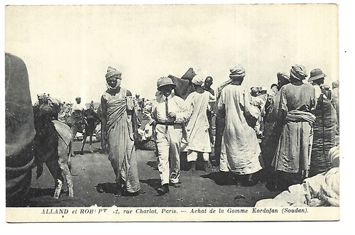 Senegal soudan kordofan - soudan,